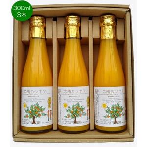 太陽のソナタ(温州おれんじジュース小3本入り)[C12-4]