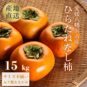 [秋の味覚 種なしで食べやすい] ひらたねなし柿 15kg (7.5kg×2箱)[H20-40]