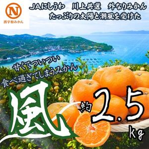 JAにしうわの季節の柑橘(川上共選 風 2.5kg)[B08-93]