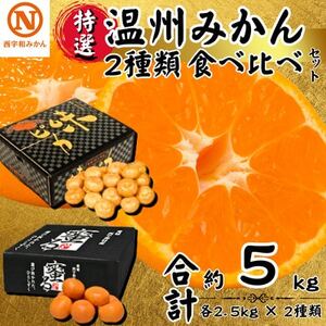 特選温州みかん2種類食べ比べ(味ピカ・蜜る)各2.5kg×2箱[E08-94]