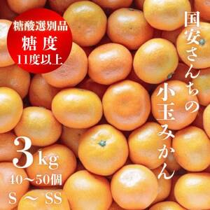 [糖度11度以上 酸1.0以下 糖酸選別品]小玉 愛媛みかん 3kg[C20-57]