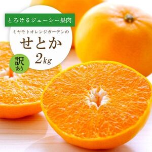 [2026年2月以降発送]とろける濃厚柑橘 せとか2kg 愛媛県八幡浜産[訳あり][C25-185]