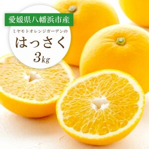 [2026年2月以降発送]ぷりぷり!酸味さわやか 八朔(はっさく)3kg[C25-187]