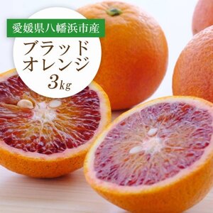 y2026NzQlsY ubhIW(^bR)3kgyC25-189zy1610009z