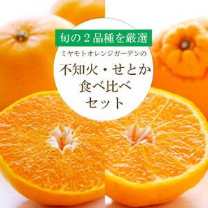 Q̐lC2iZbg!ƂEsm Hהׁy󂠂zyD25-195zyŔzzy4066396z