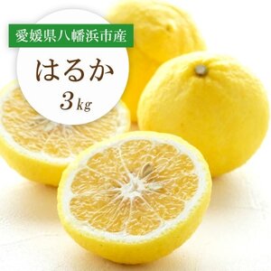 y2026N2ȍ~zÂ!QlsY͂邩 3kgyC25-204zy1612464z