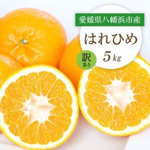 y2025N12菇zQlsY ͂Ђ5kgy󂠂zyC25-207zy1612501z