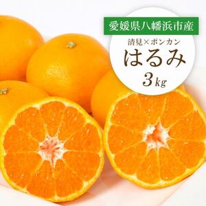 [2026年2月より順次発送]愛媛県八幡浜市産 はるみ3kg[C25-208]
