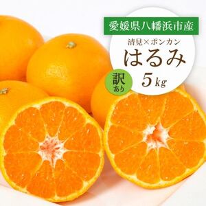 y2026N2菇zQlsY ͂5kgy󂠂zyC25-209zy1612666z