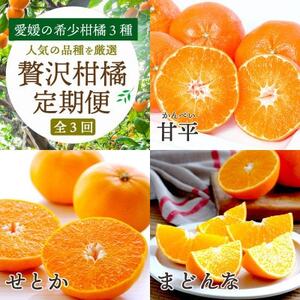 [発送月固定定期便]愛媛の高級柑橘3品種!まどんな・甘平・せとか[訳あり][H25-199]全3回