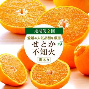 [発送月固定定期便]愛媛の人気2品種を堪能!せとか・不知火食べ比べ[訳あり][D25-202]全2回