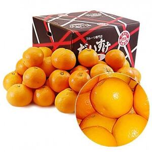 愛媛県産みやうちいよかん[訳あり]10kg[E35-31]