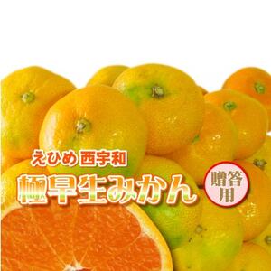 みさき果樹園の極早生みかん5kg[C21-35]