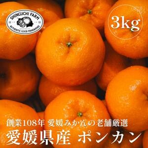 創業百八年 愛媛みかんの老舗[ポンカン 3kg]家庭用[新口農園][C70-64]
