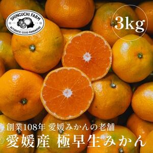 創業百八年 愛媛みかんの老舗[極早生みかん3kg]愛媛県川上産[新口農園][B70-66]