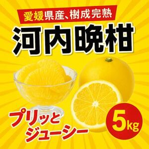 河内晩柑5kg[訳あり][A31-50][配送不可地域:離島]