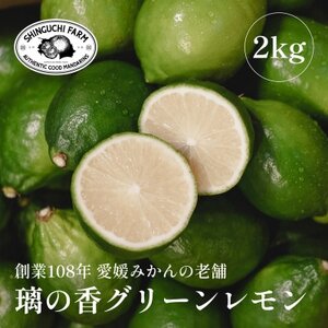 [皮が薄くて種が少ない]璃の香グリーンレモン 2kg 愛媛県産[B70-67]