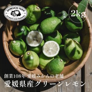[防腐剤・ワックス不使用]愛媛県産グリーンレモン 2kg[B70-68]