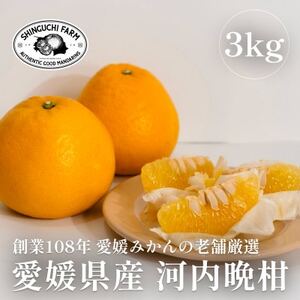 [創業108年]愛媛みかんの老舗[河内晩柑 3kg][新口農園][C70-70]