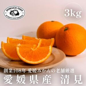 [創業108年]愛媛みかんの老舗[清見 3kg][C70-71]
