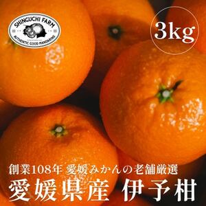 [創業108年]愛媛みかんの老舗[伊予柑 3kg][C70-72]