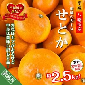 2026年2月〜順次発送 柑橘の大トロ!「せとか」約2.5キロ[訳あり品・家庭向け][C39-65][配送不可地域:離島]