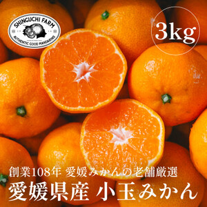 愛媛みかんの老舗厳選[小玉 みかん3kg][C70-73]