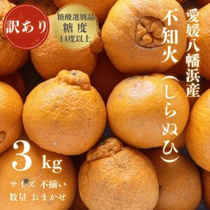 [糖度14.0以上 酸1.4以下]糖酸選別品 訳あり 不知火 (しらぬひ) 3kg[C20-58][配送不可地域:離島]