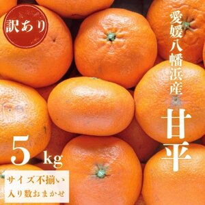 [愛媛が誇る 高級みかん 希少品種]訳あり 甘平 (かんぺい) 5kg[F20-59]