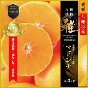 ɐkyv~Azxۏ؁EZT[ iiu }hi v3LyF39-68zyzsnFzy1620363z