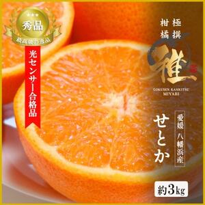 ɐkyzZT[iiEk̑gu Ƃ v3LyD39-71zyzsnFzy1620367z