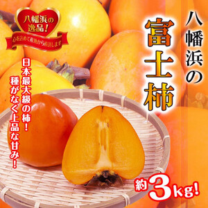 甘さにニッコリ!日本最大級の柿「富士柿」約3キロ[C39-72][配送不可地域:離島]