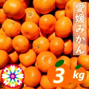 「 愛媛 みかん 」約3kg《 愛咲果樹園 》【A71-25】【1616827】