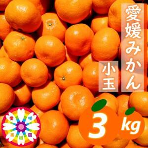 「 愛媛 みかん 」 小玉 約3kg[ 愛咲果樹園 ][A71-26]