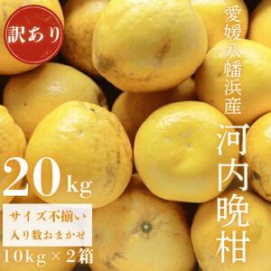 sʏ`ՂW[V[tYn QlY 󂠂 ͓ӊ20kgyG20-79zy1621480z