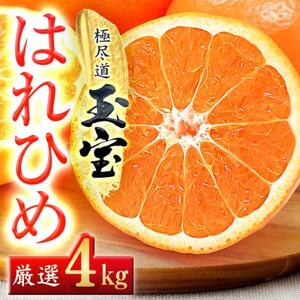 yQYzʕ͂Ђ߁@4kgyC64-70zy1621812z