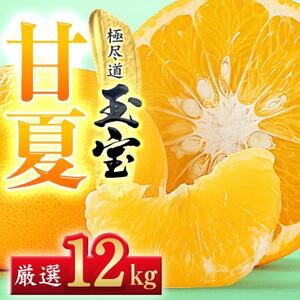 yQYzʕÉā@12kgyF64-75zy1621820z
