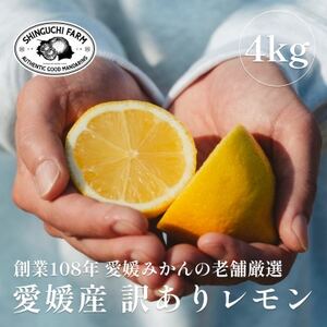 [訳あり]愛媛レモン 4kg[防腐剤・ワックス不使用][C70-74]