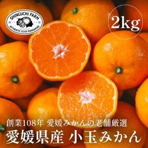 愛媛みかんの老舗厳選[小玉 みかん2kg]新口農園[B70-75]