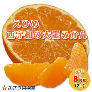 西宇和産大玉みかん2Lサイズ8kg[C21-40]