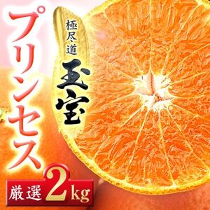 ≪新品種!!≫[甘平×まどんな]愛果48号(紅プリンセスと同品種)2kg[D64-76]