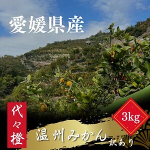 代々橙みかん3kg(家庭用・サイズ混合)[A83-33]