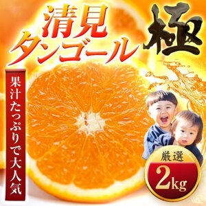 [太陽をたっぷり浴びた]清見タンゴール[極]2kg[A49-94]