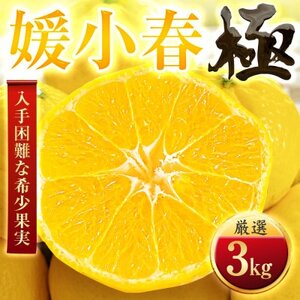 【太陽をたっぷり浴びた】媛小春(ひめこはる)【極】3kg【E49-99】【1623960】