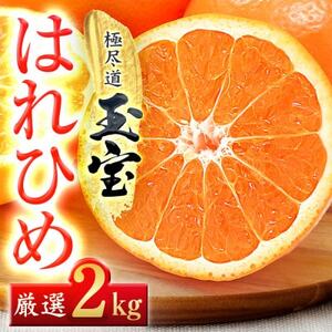 yQYzʕ͂Ђ߁@2kgyA64-80zy1623963z