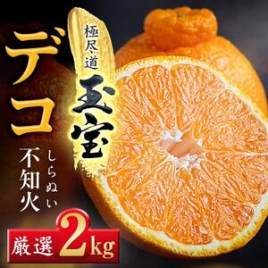 [愛媛名産]玉宝デコ(不知火) 2kg[A64-83]