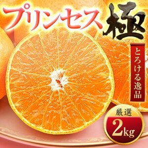 「新品種!!」[甘平×まどんな]愛果48号(紅プリンセスと同品種)[極]2kg[D49-90]