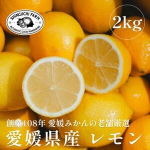 [創業108年]老舗農家の特選レモン2kg[愛媛県産][防腐剤・ワックス不使用][A70-76]
