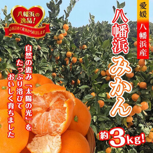 太陽の光・石垣の反射光・海面の反射光を浴びて育った「八幡浜みかん」約3キロ[B39-78][配送不可地域:離島]