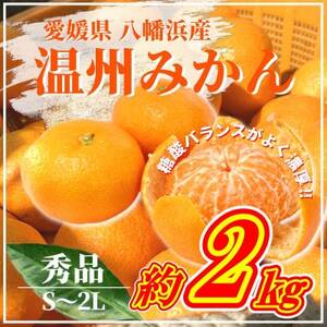 [先行受付]山海の西宇和みかん約2kg(秀品)[B81-3]
